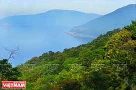 Son Tra Peninsula - gift of The Creator