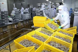 Shrimp export target ambitious, but achievable