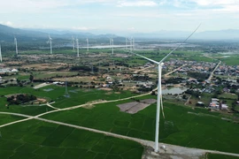 Vietnam has great potential to develop green economy (Illustrative image. Photo: VNA)