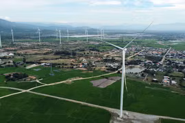 Vietnam has great potential to develop green economy (Illustrative image. Photo: VNA)