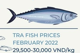 Tra fish exports predicted to hit 1.7 billion USD this year