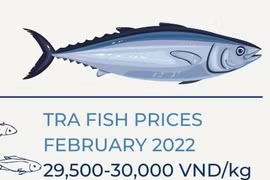 Tra fish exports predicted to hit 1.7 billion USD this year