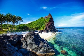 Quang Nam goes green for National Year of Tourism