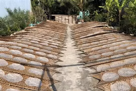 Can Tho’s 200-year-old rice paper making recognised national heritage