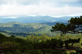 Exploring Langbiang - the first biosphere reserve in Central Highlands
