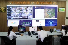 Vietnam develops digital transformation network 