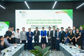 Binh Duong, UK cooperate in promoting green energy