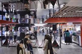 Singapore deploys AI robots for retail