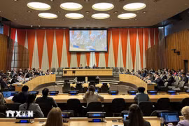 Vietnam maintains momentum on advancing gender equality: UN Women Representative