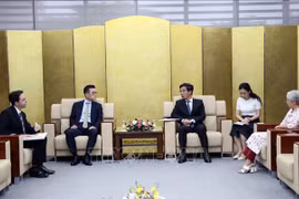 Da Nang teams up with CityNet for urban development