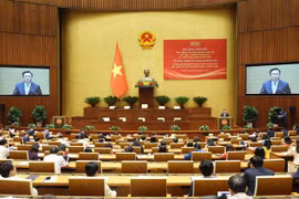 Top legislator asks for higher operational efficiency of NA deputy delegations