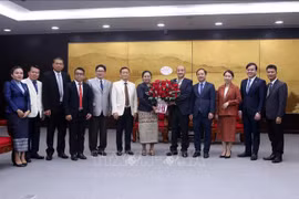 Da Nang, Laos’ Savannakhet province boost ties