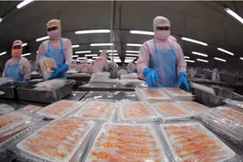 Aquatic product exports to recover only slightly in H1: Association