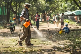 Thailand’s dengue fever cases spike