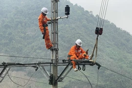 Fitch raises rating of Vietnam's northern power corporation 