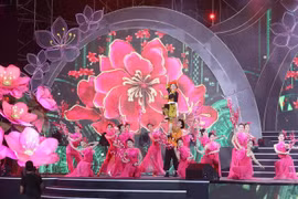 Lang Son peach blossom festival in full swing