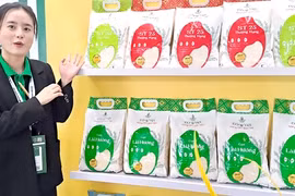 Vietnam’s rice looks for high value export