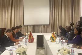 Deputy Foreign Minister pays working trip to Ghana