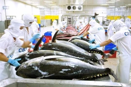 Vietnamese tuna products exported to 80 markets worldwide