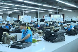 Business environment reform needs further promotion: expert