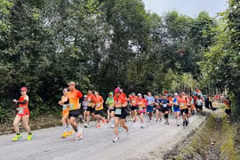 Nearly 2,400 runners join in Quang Binh Discovery Marathon 2024