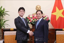 Foreign Minister lauds progress of Vietnam - Japan cooperation