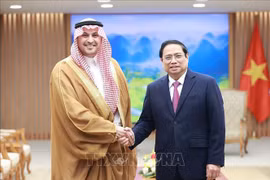 2023 - a highlight in Vietnam-Saudi Arabia relations: Ambassador