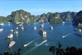 Ha Long Bay, Sa Pa selected as trending destinations in 2024 by TripAdvisor