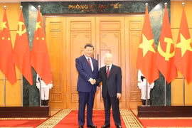 Vietnamese, Chinese Party leaders exchange Lunar New Year greetings