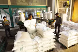 Businesses urged to seize opportunities to boost rice exports to Indonesia