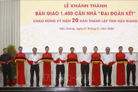 President witnesses hand-over of 1,400 houses in Hau Giang