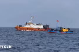 New decrees contribute to perfecting anti-IUU fishing regulations