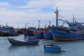 Kien Giang steps up IUU-related communication work