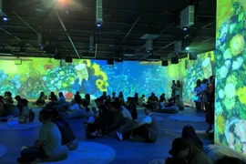 Van Gogh Art Lighting Experience captivates art enthusiasts in HCM City