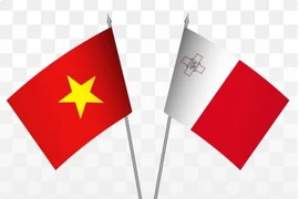 Similarities, common interests help develop Malta-Vietnam relations: Ambassador