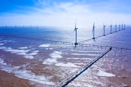 Support policies needed to develop green hydrogen