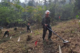 Training course opened for mine action workers