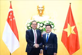 Vietnam, Singapore deepen economic, energy cooperation