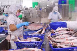 Vietnam strives to increase competitiveness for agricultural exports to US