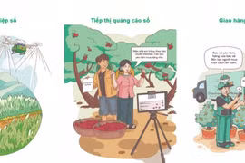 E-handbook promotes digital transformation from grassroots level