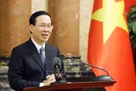 President ratifies Vietnam-Italy agreement on mutual legal assistance in criminal matters