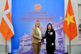Foreign ministries of Vietnam, Denmark convene political consultation