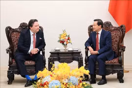 Deputy Prime Minister receives US Ambassador