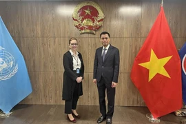Vietnam supports UN’s humanitarian aid for Palestinians: Diplomat