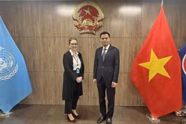 Vietnam supports UN’s humanitarian aid for Palestinians: Diplomat