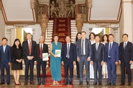 International organisations pledge to help HCM City in green development