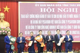 Thai Binh emerges as magnet for domestic, foreign investors