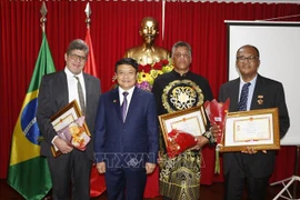 Vietnam one of most important partners of Brazil: Brazilian official 