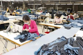 Local firms advised to be cautious when exporting to Spain