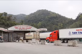 Export-import turnover reaches 1.41 billion USD during Tet
